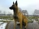 Benutzerbild von Rusty2000